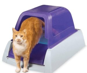 automatic cat litter box