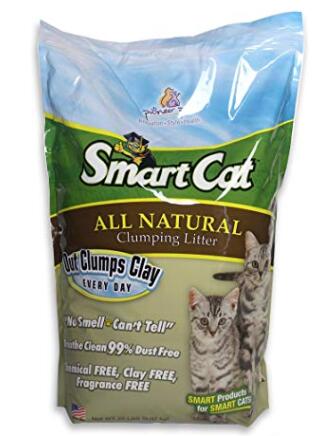 Top 5 Best Affordable Cat Litter Reviews & Guides For Your Money 2021