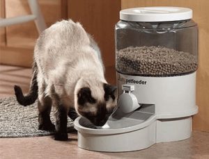 double automatic cat feeder