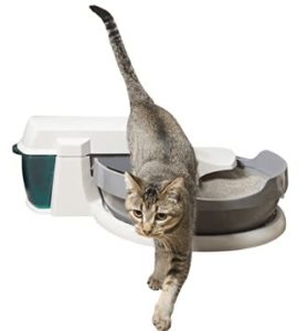 automatic kitty litter box for multiple cats