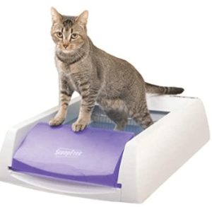 best automatic litter box for multiple cats