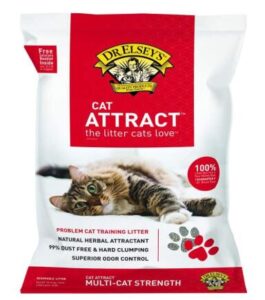 cat litter for picky cats