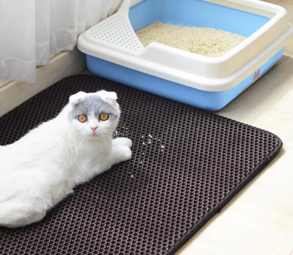 What Is the Best Cat Litter Mat? Cat is a friend!