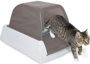 PetSafe ScoopFree Self Cleaning Cat Litter Box 