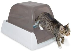 Petsafe indoor automatic cat litter box