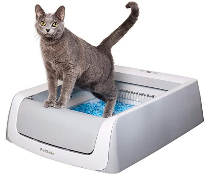 Best Electric Litter Box for Multiple Cats Reviews of 2021 Cat Is A Friend