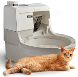 Litter box cleans and dries the litter by itself