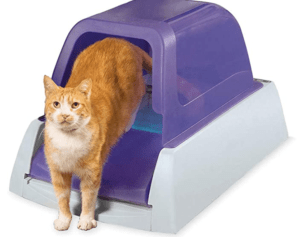 Affordable self-cleaning cat litter box