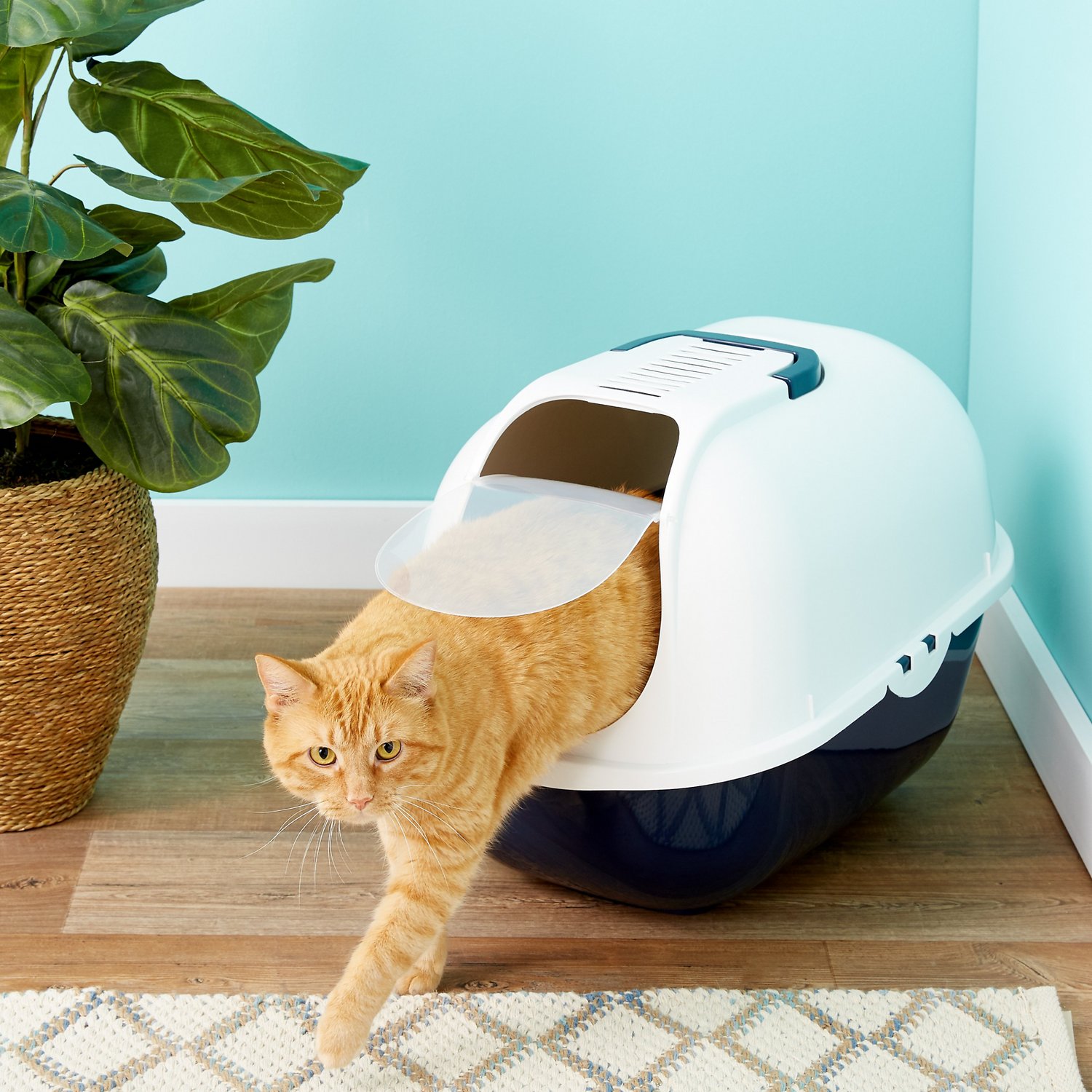 Best Covered Cat Litter Box For Large Cats 