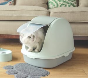 best covered cat litter box for large cats
