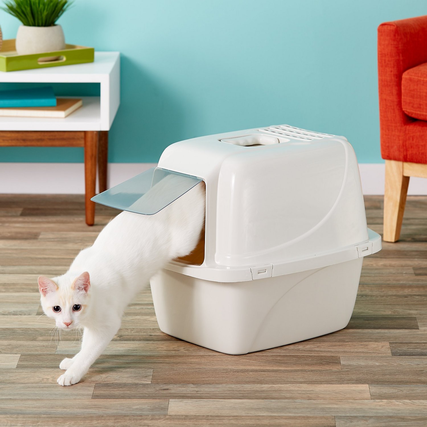 Best 6 Covered Litter Box for Large Cats Reviews & Buying Guides
