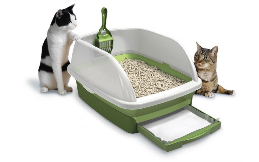 Steps for Making Clumping Cat Litter and Benefits - Cat is a Friend!