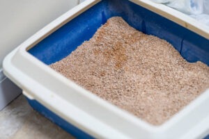 which mineral is used to make kitty litter