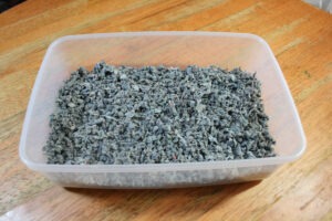 Five Methods for Disposing of Used Cat Litter in the Greenest Way