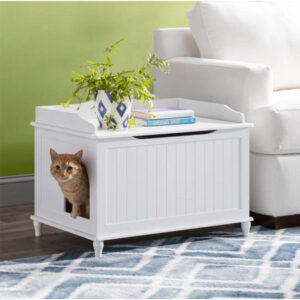 best cat litter box for small apartment