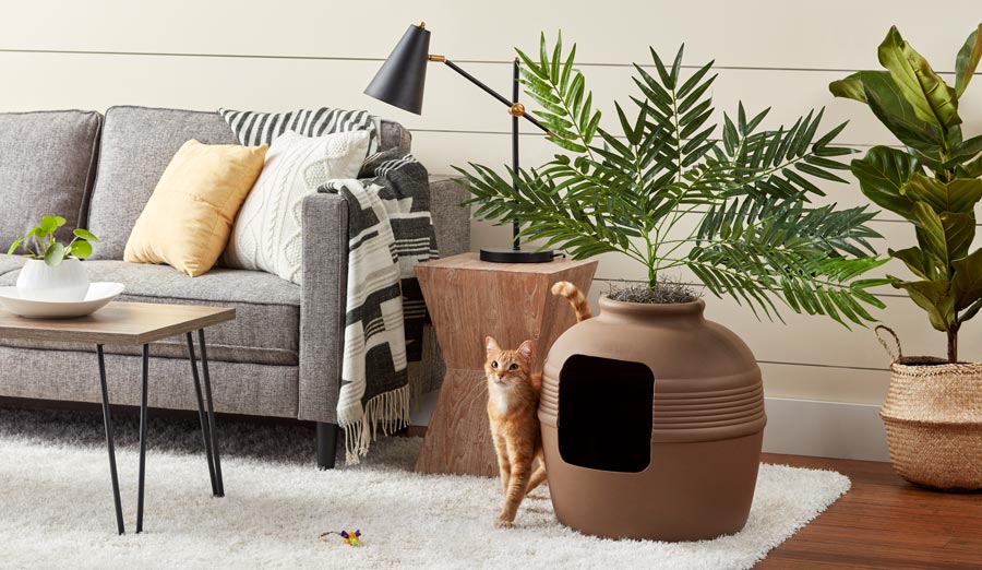 Top 6 Best Cat Litter Boxes for Small Spaces Reviews & Buying Guides