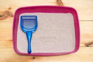 what to do with used clumping cat litter