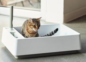 is electric litter box worth buying